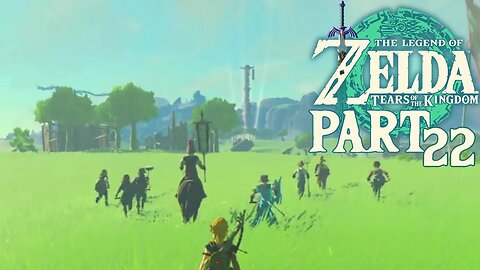 When You Find Yourself An Army In | Tears of The Kingdom | Part 22