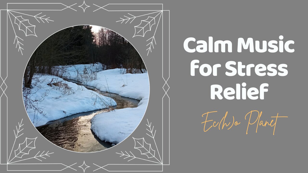 Calm Music for Stress Relief | 1 Hour Sleep Therapy Music | Winter Forest #calmmusic ❄️🎵