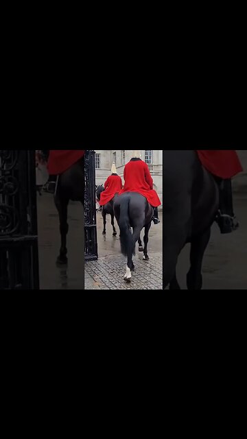 Changing of the horse #horseguardsparade