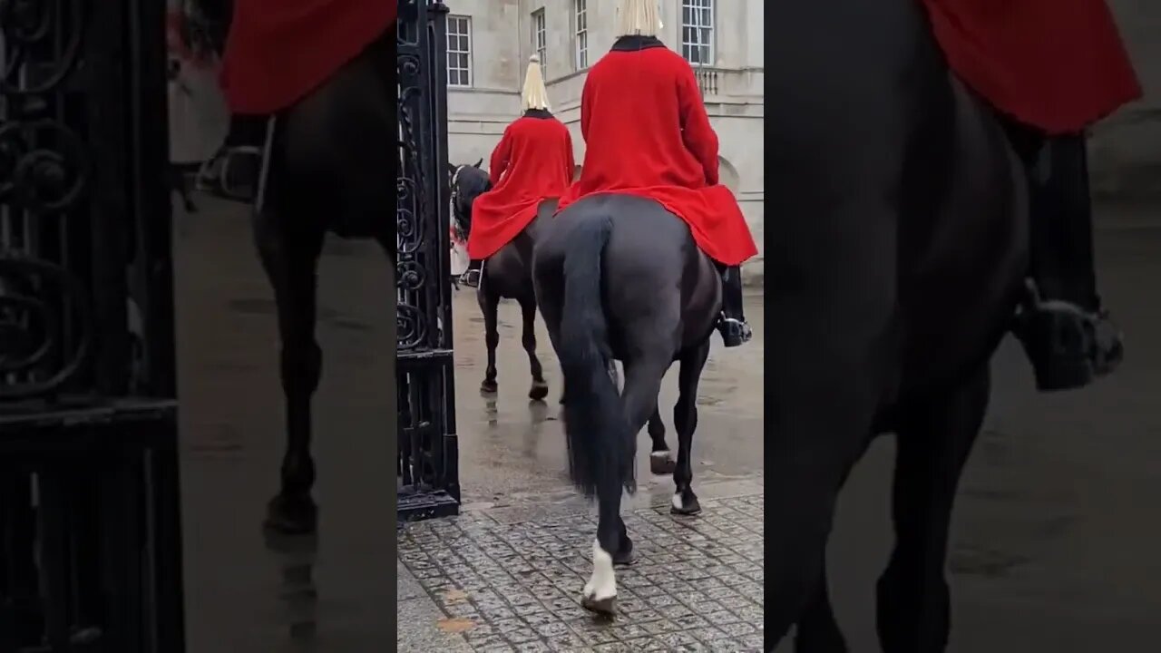 Changing of the horse #horseguardsparade