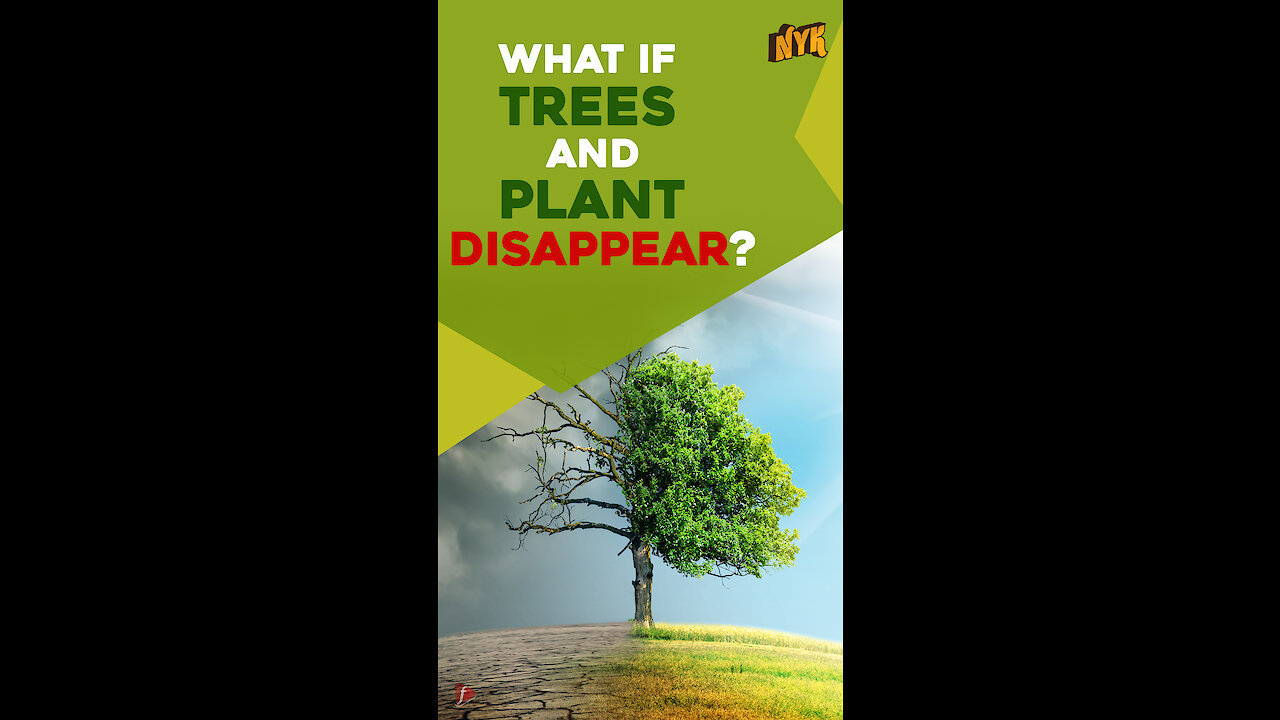 What if all trees and plants in the world disappear?