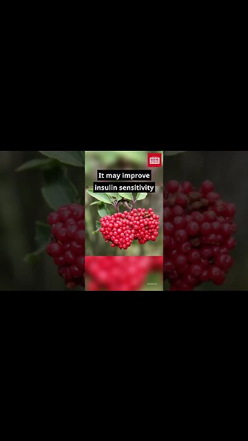 Health Benefits of Berries For Diabetics.#shorts