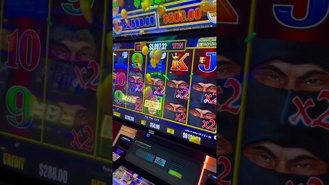 $8,000 Line Hit on Dollar Storm!