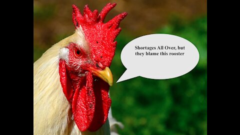 Shortages, From Gas to Food, Be Prepared - 20210512