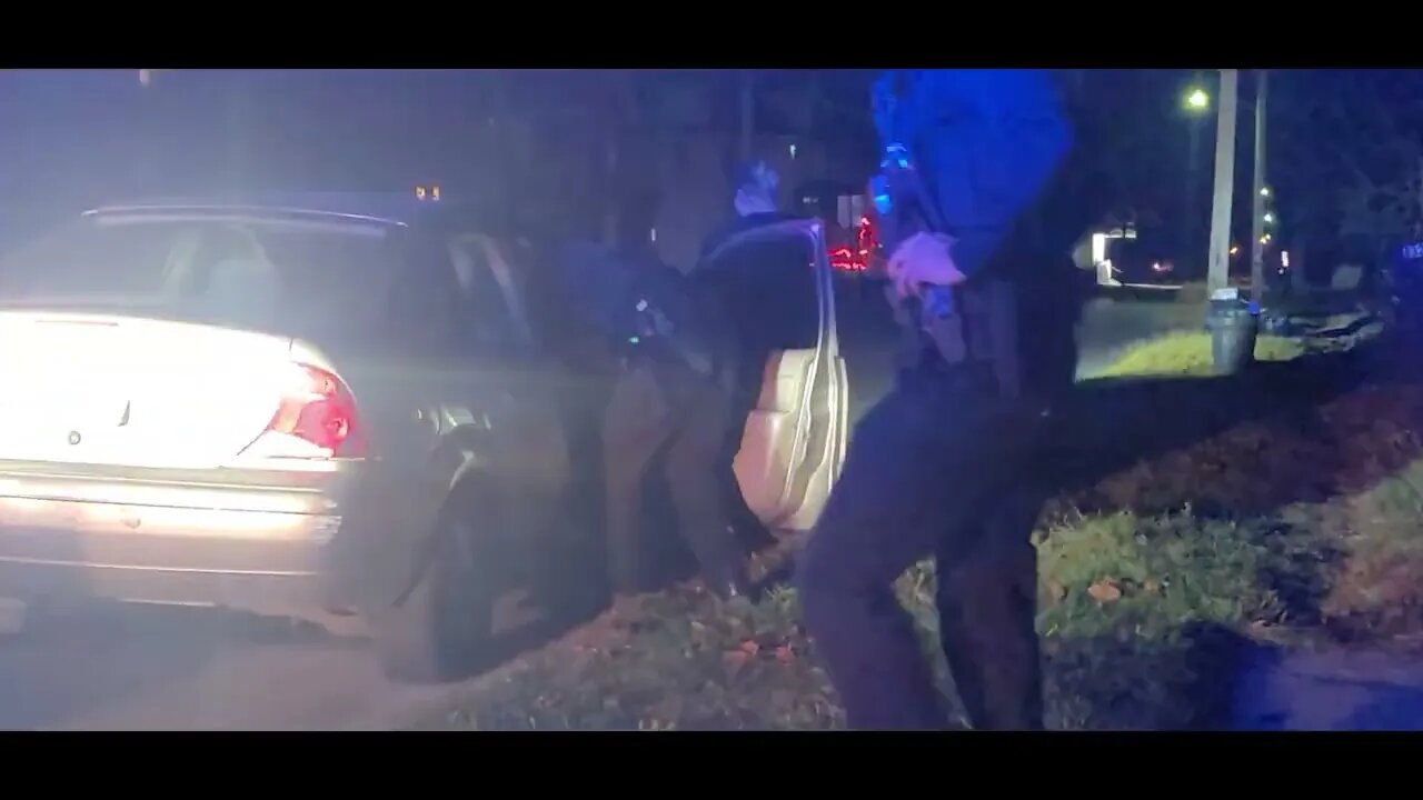 K9 stop Marion Ohio dog hit but find noting!!!