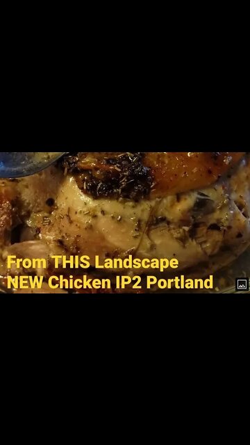 New Chicken | From THIS Landscape