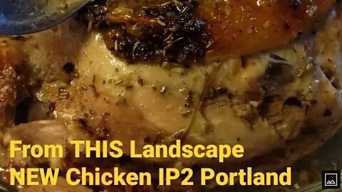 New Chicken | From THIS Landscape