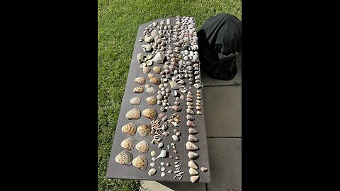 Halloween Beach Finds 10/31/2024 | 4K