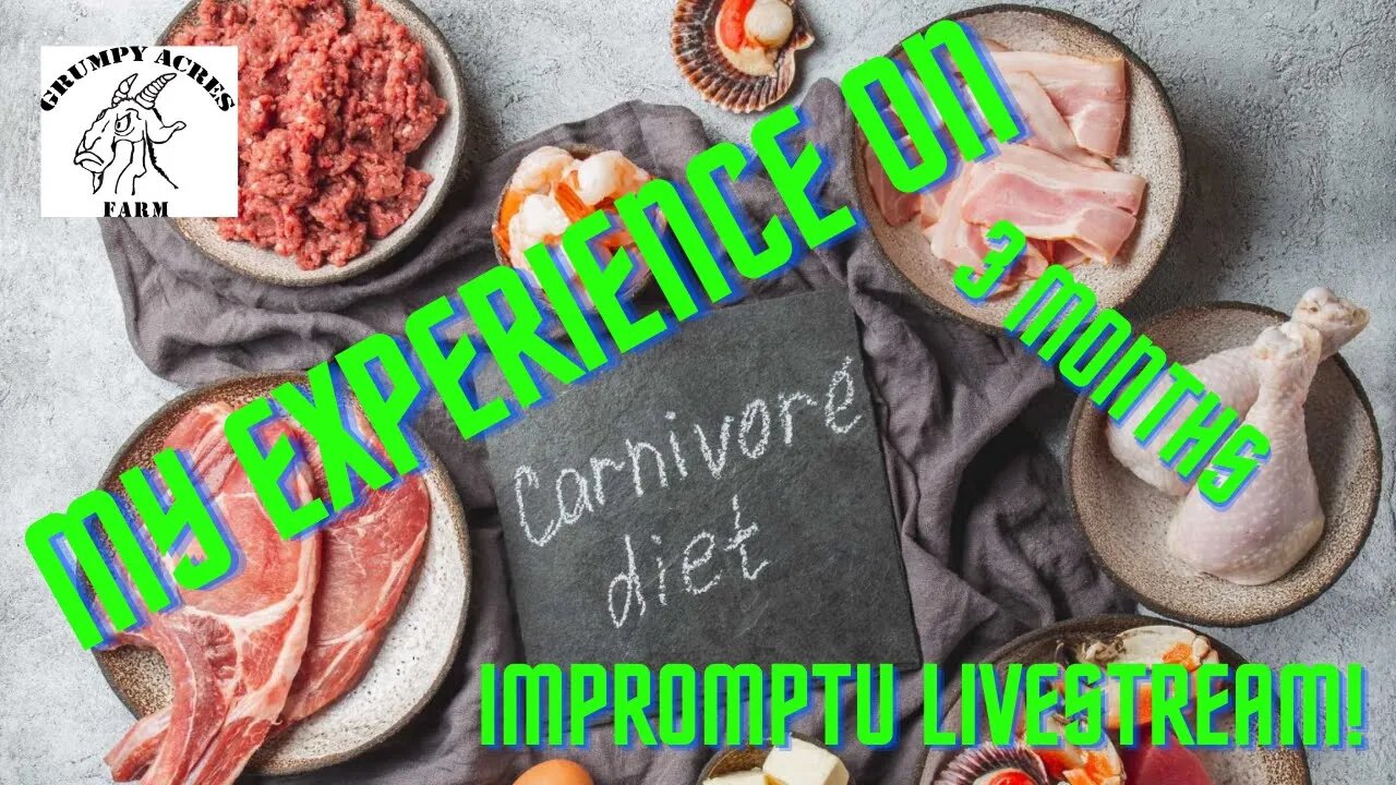 3 Months On A Carnivore Diet - My Experience