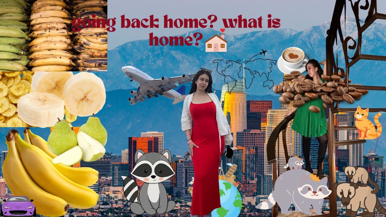 going back home? what is home?