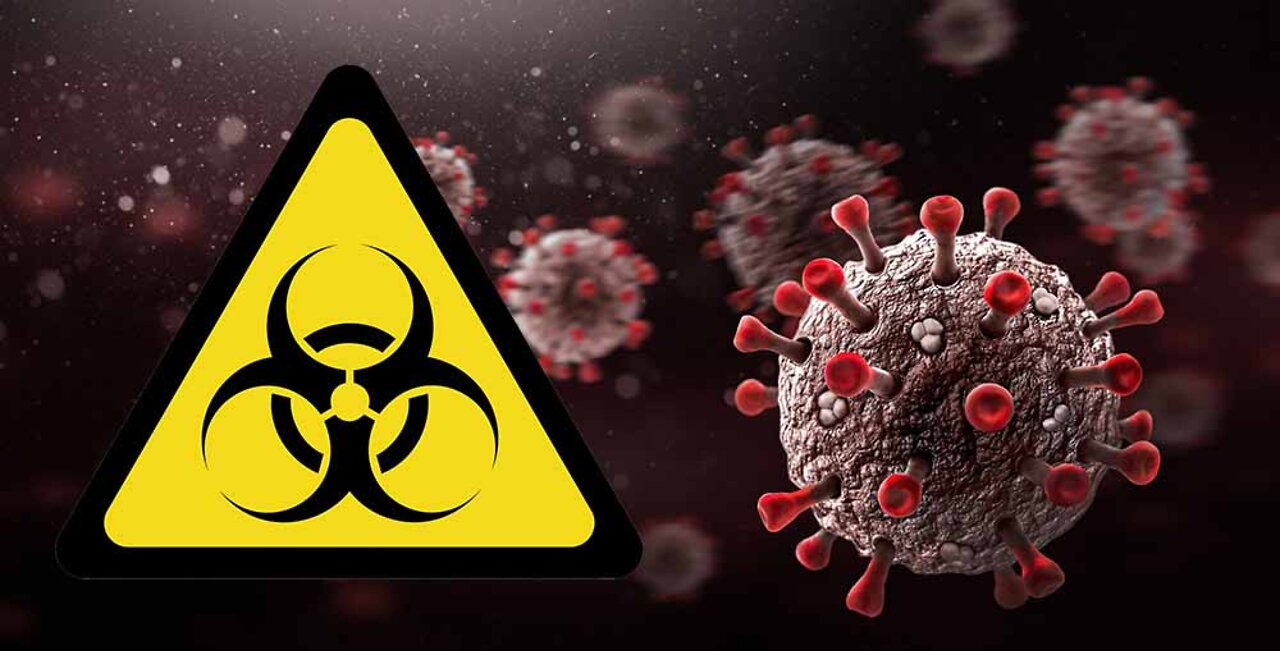 Sie sagen uns alles in Ihren Filmen