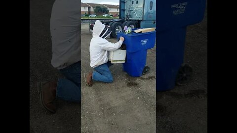 Swarm caught on recycle can