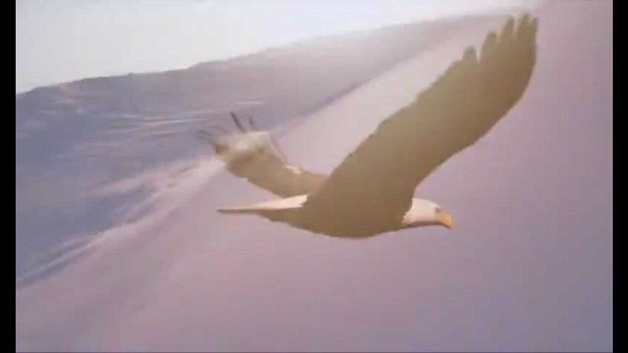 A road less travelled