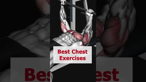 Best Chest Exercise 🔥 #shorts #workout #chestworkout