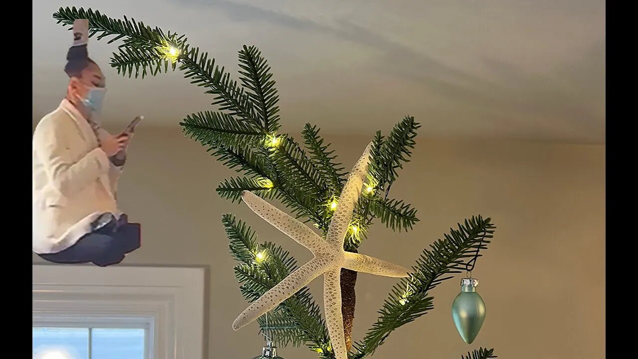 I Identify Myself as a Christmas Tree Decoration (meme) [10 HOURS]