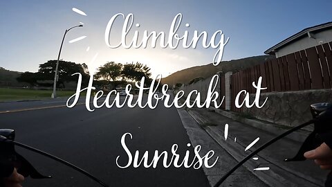 Feb Week 2 - Light Workouts During the Week & Long Ride and Swim Weekend!