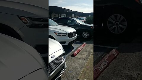 Gang Stalker in a BMW with no kids near my job