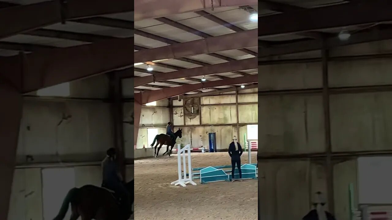 Reyna giving Dylan a workout