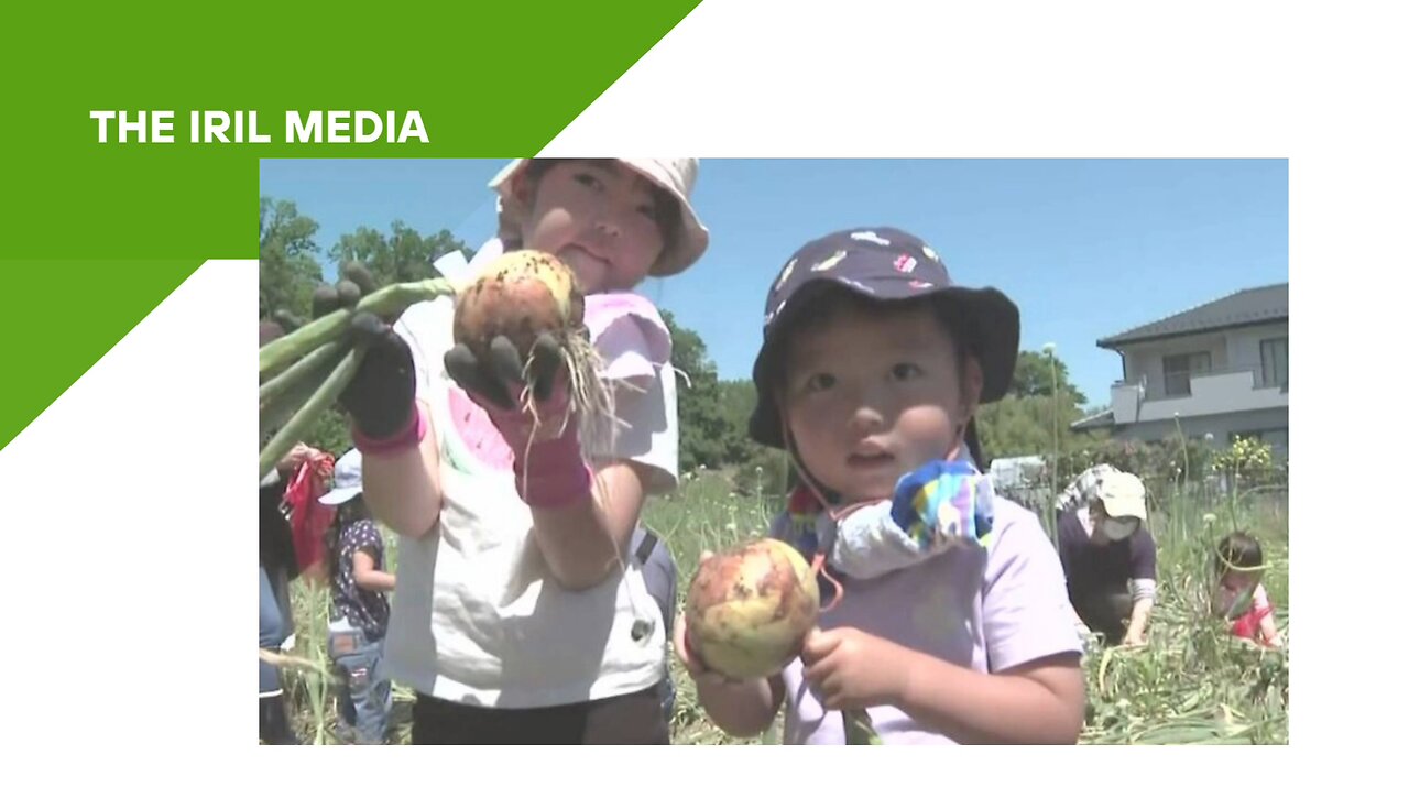 Harvest Festival, Japan