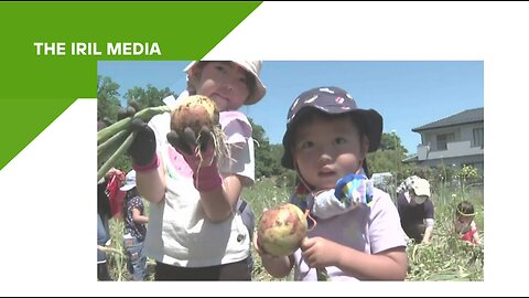 Harvest Festival, Japan