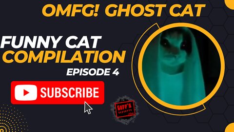 Try To Keep A Straight Face Challenge 🥴 - Ghost Cat And Funny Cat Compilation Episode 7