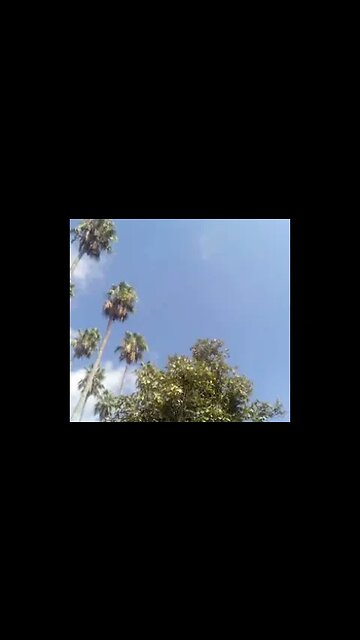 Perfect Looping Video #Nature #AeroArduino