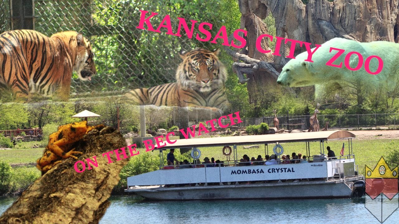 BEC Watch Entries: #1 Kansas City Zoo