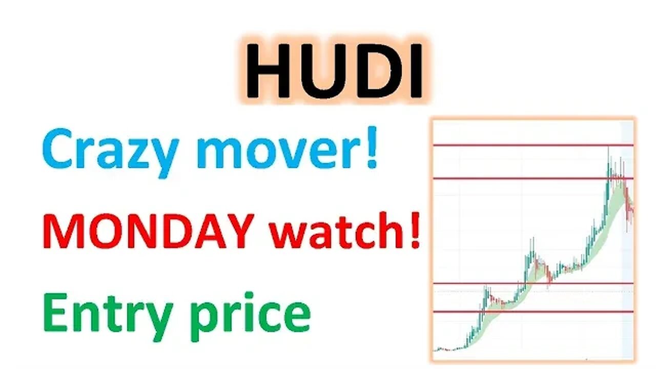 #HUDI 🔥 Monday watch for this crazy mover! Should you play? $HUDI