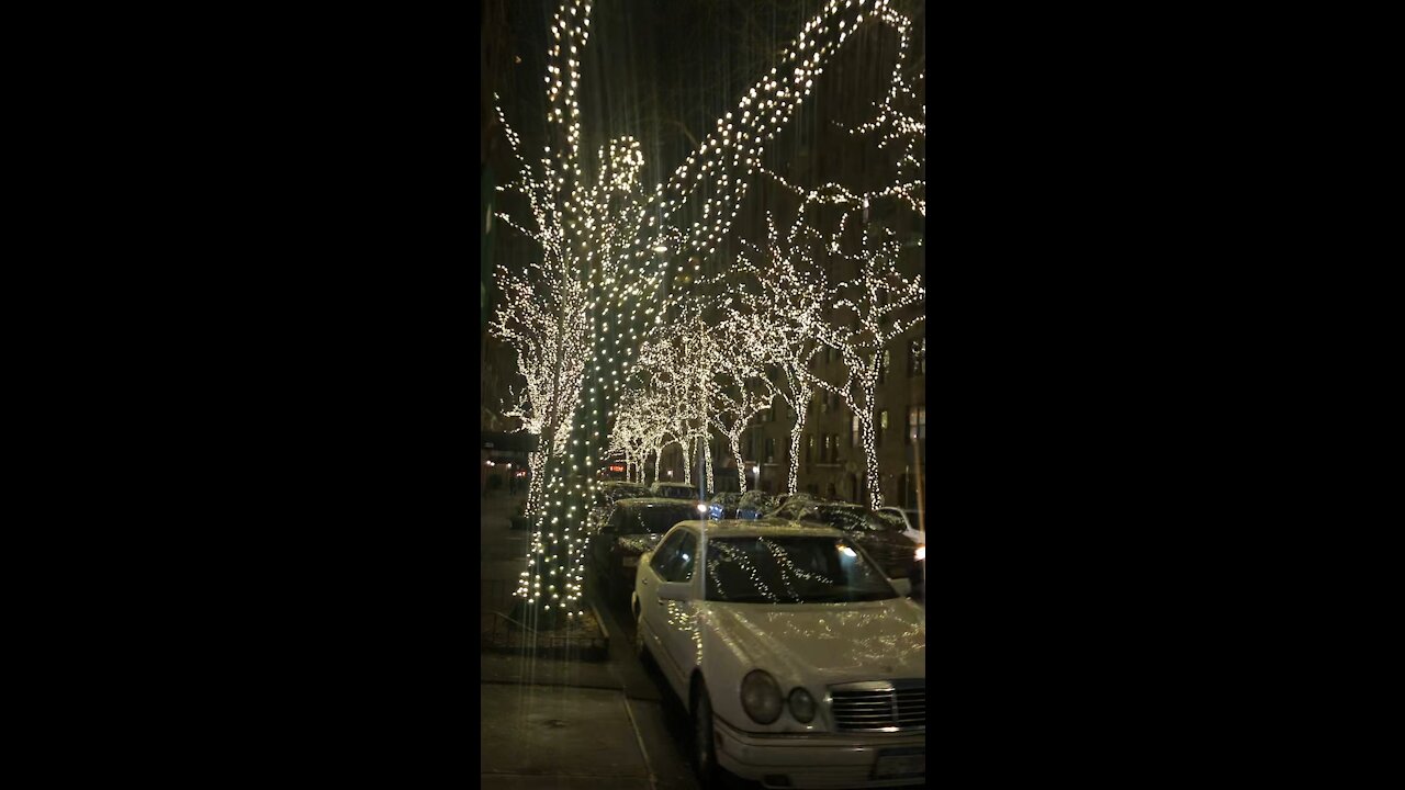 Christmas on New York Street