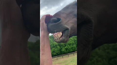 Forgot he was behind me