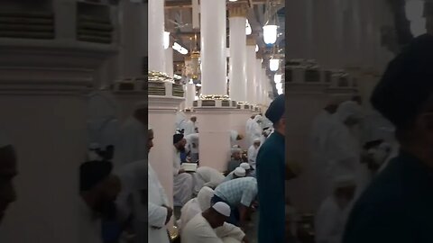 Adjacent with Riaz ul Jannah | Masjid e Nabawi | Madina