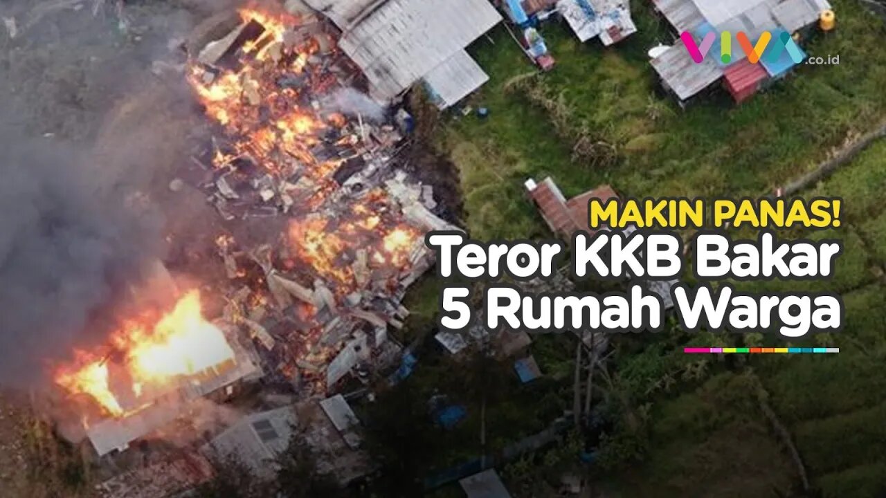 MENGGILA! KKB Papua Bakar Lima Rumah Warga