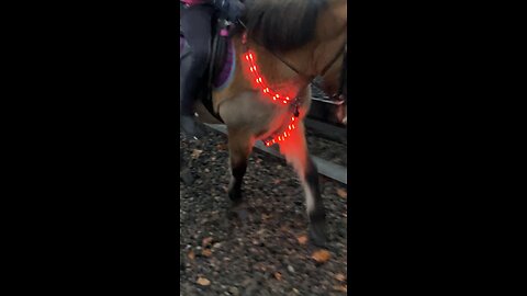 Led breastplate