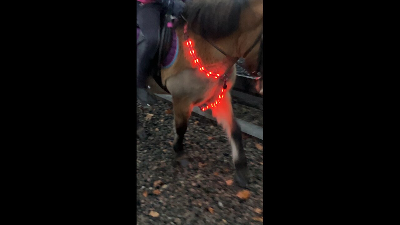 Led breastplate