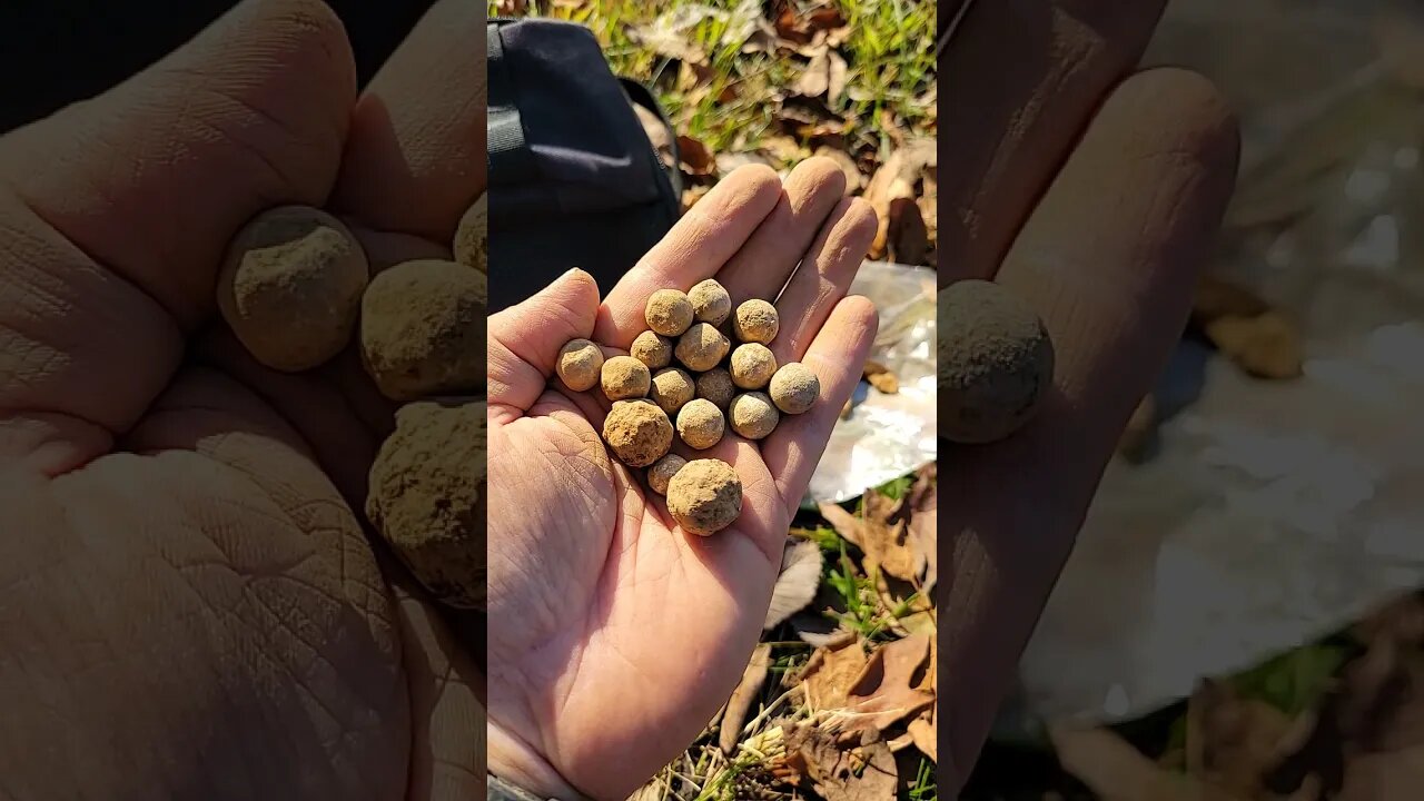 I Sure Do Have a Lot of Balls For Doing This!