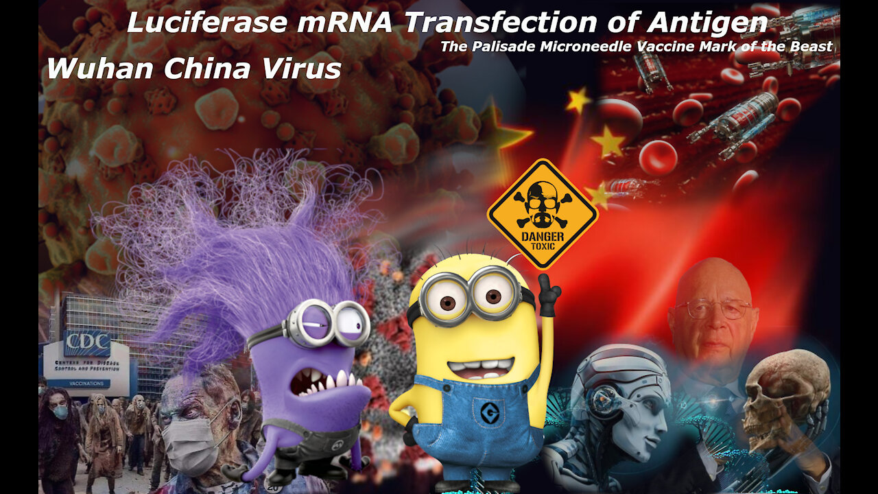 Corona Hoax Explained by Lady