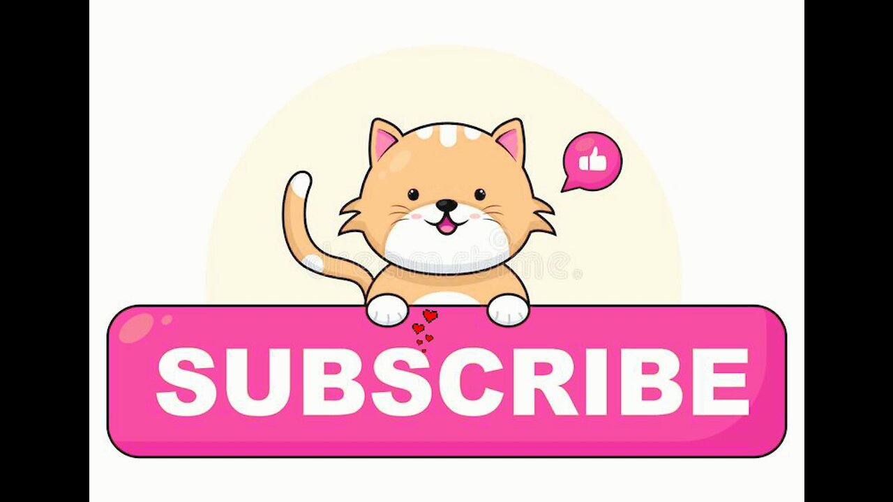 Funny cat video_Cute cat_Loving cat.