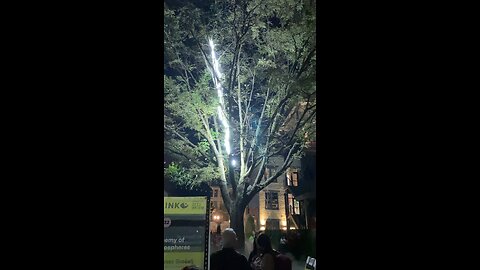 Lighting Tree