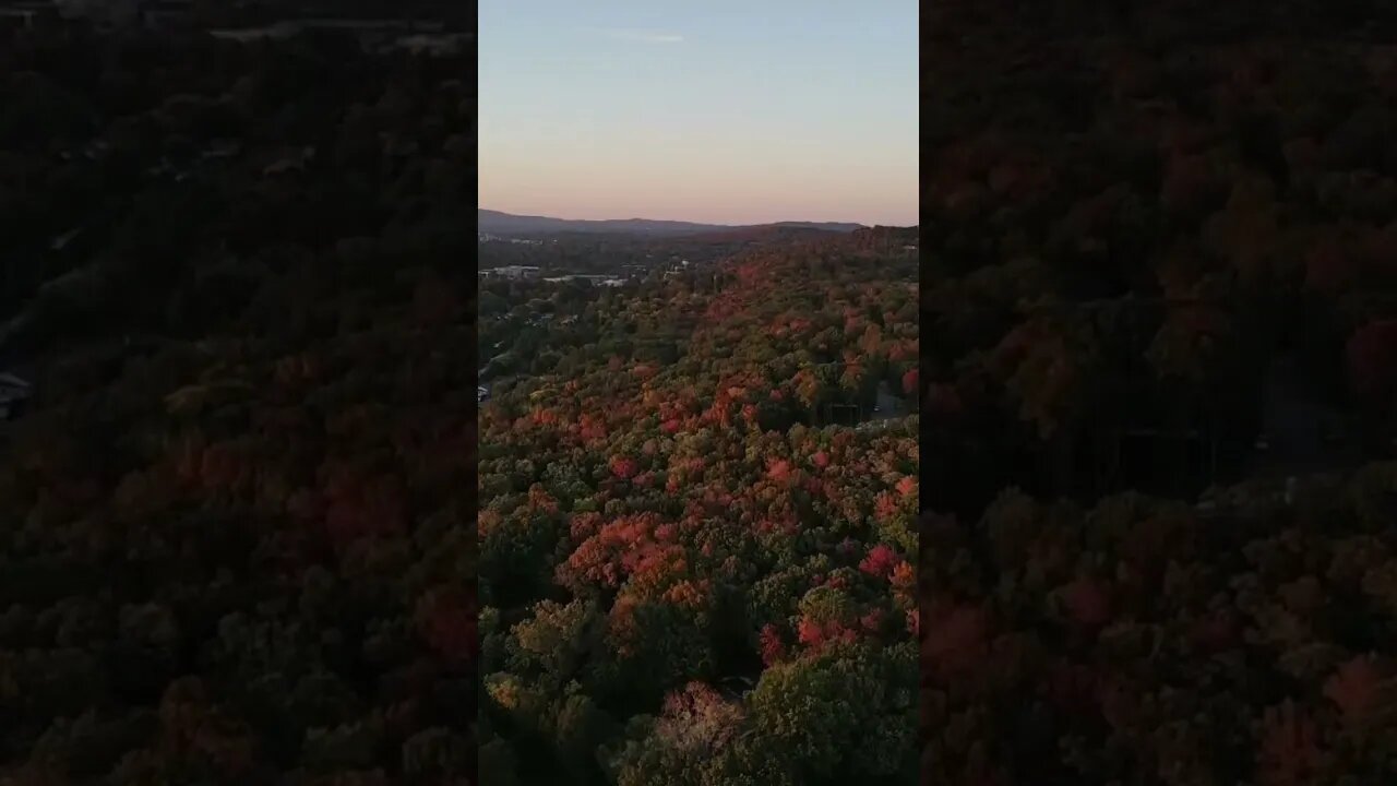 Alabama in the Fall