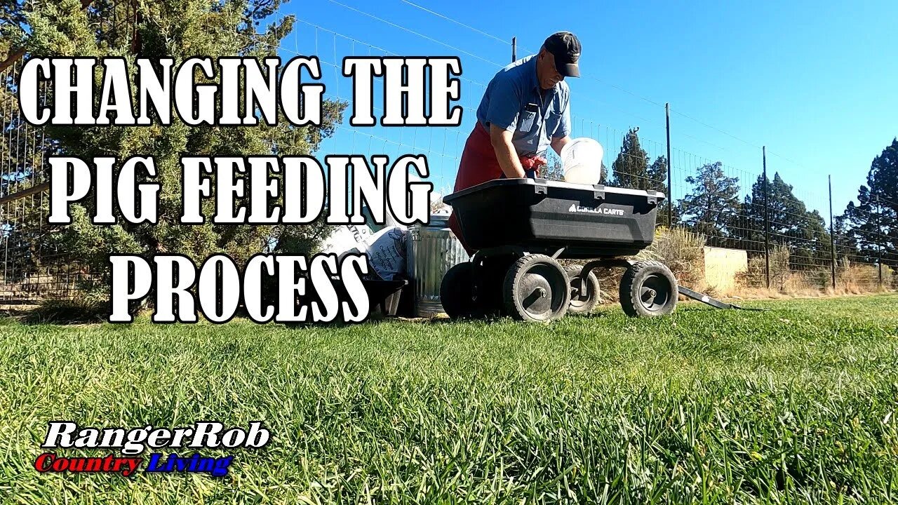 Changing The Pig Feeding Process