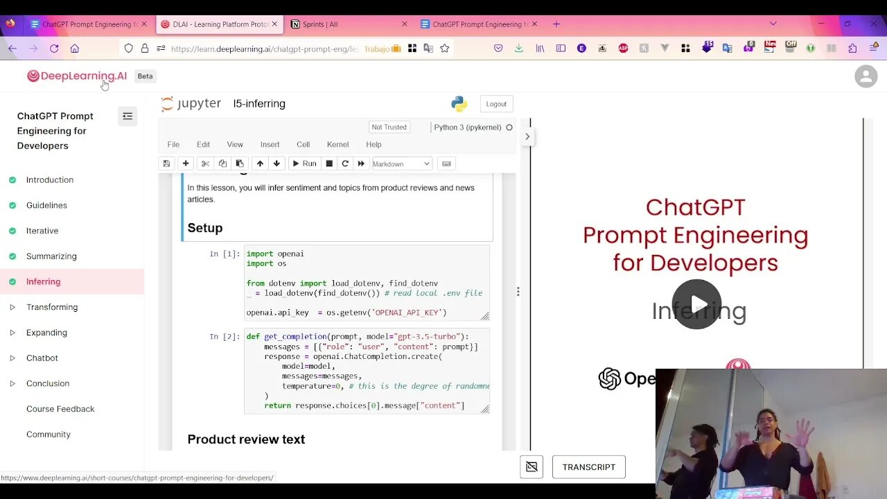 ChatGPT Prompt Engineering for Developers - Inferring pt 2