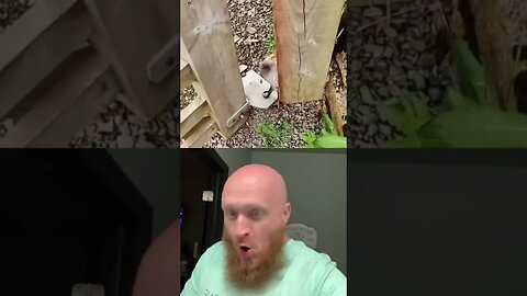 #duet with @Carpenter Videos #woodworking why am I just learning about this?