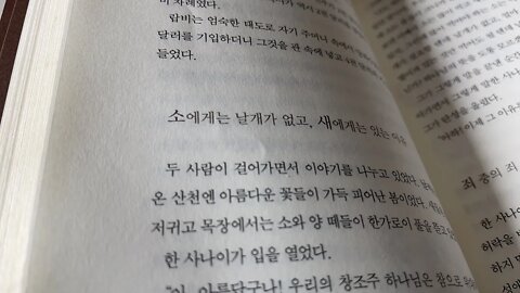 탈무드유머 임유진 랍비 성서 도둑질 강간 간통 동성애 살인 강도 사기 고백 지참금 레이먼