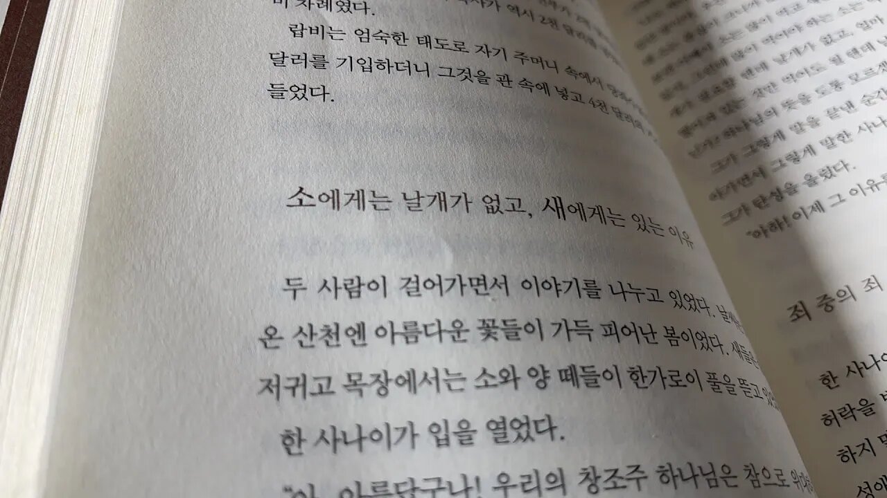 탈무드유머 임유진 랍비 성서 도둑질 강간 간통 동성애 살인 강도 사기 고백 지참금 레이먼