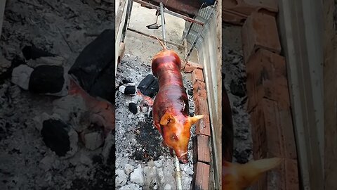 Roasted Pig