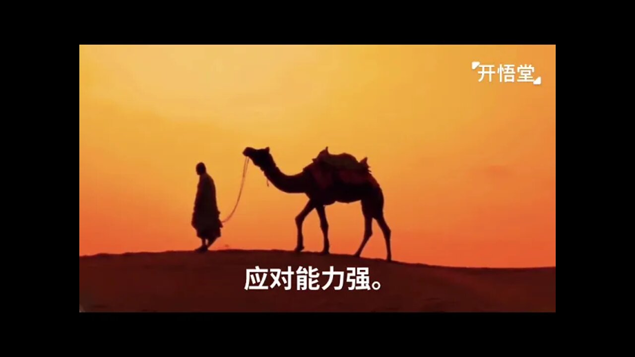 一句话开悟20220123