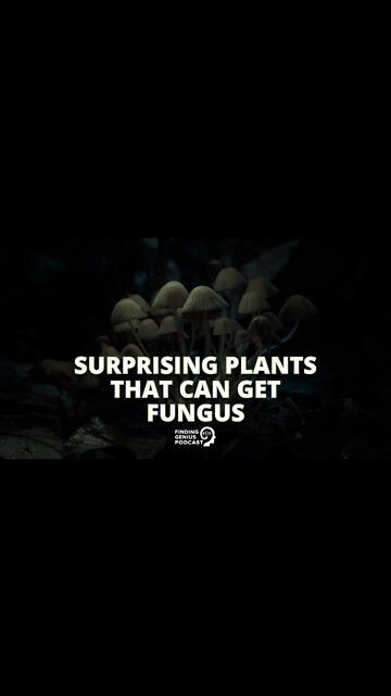 Surprising Plants That Can Get Fungus #shorts