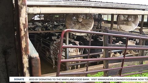 Market for some dairy products sours during shut down