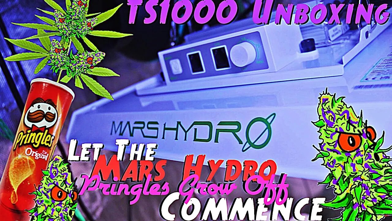 Let The Mars Hydro Goodbuds Pringles Grow Off Commence | Unboxing The Prize | Mars Hydro TS1000