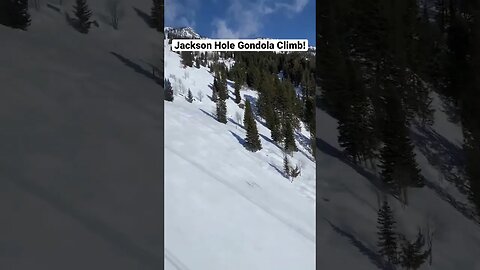 Climb to the top in the Jackson Hole tram.